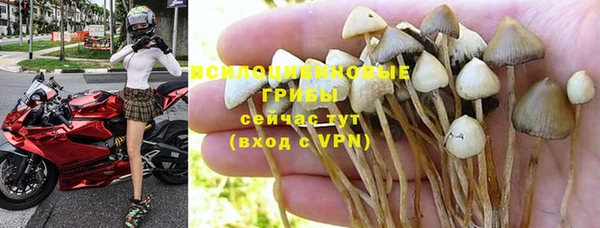 шишки Волосово