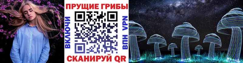 Галлюциногенные грибы Cubensis Поворино